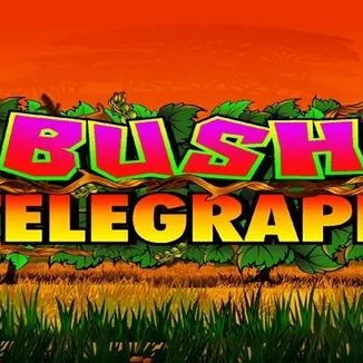 Bush Telegraph